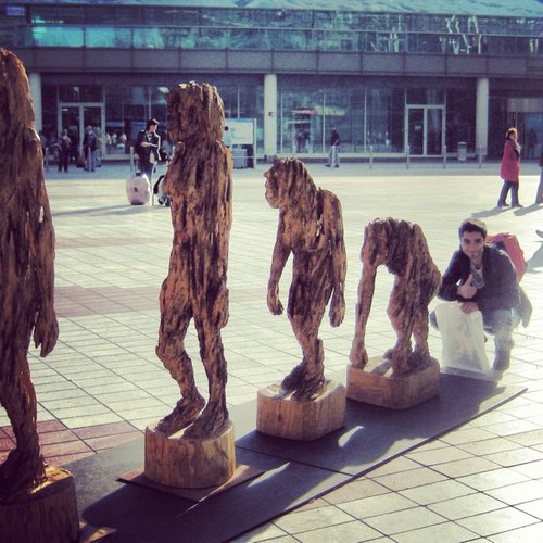 SandorVezer's profile picture. 