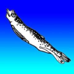 ちょもちよさんのプロフィール画像