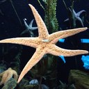 Dana McCall - @DanaLynn_5 - Twitter