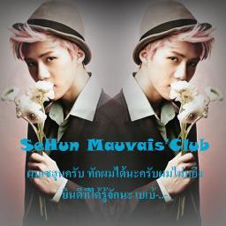 K-pop Thailand