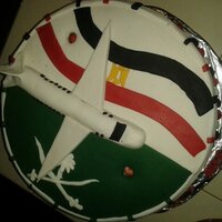 sherein shalaby (@shereinshalaby) 's Twitter Profile