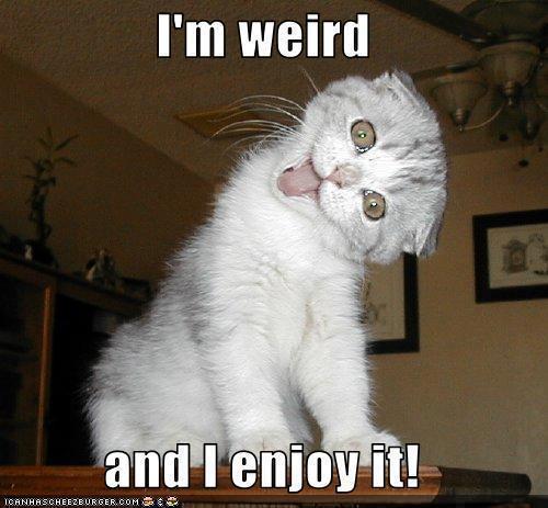 Crazy cat lady, gamer chick, Criminal Minds and Vampire Diaries-lover etc.