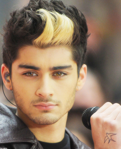 zaynstermalikkk's profile picture. Enjoying that roller coaster that we call life.:) xx Single.