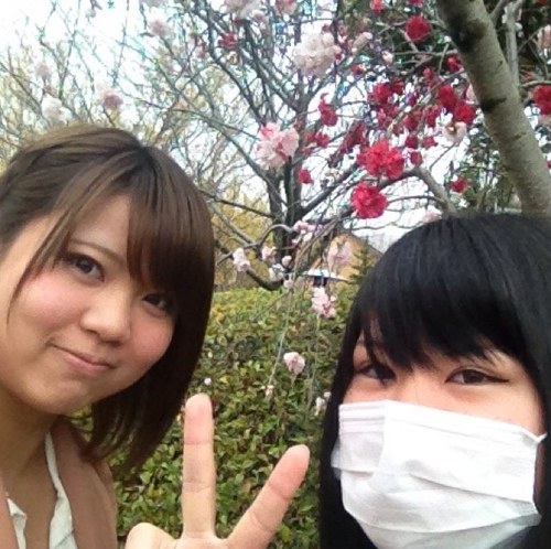 私は加藤朱莉の妹の百恵です。
連絡がある人は妹の私に連絡してください。