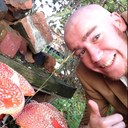 Luke Reeves - @mushroomluke - Twitter