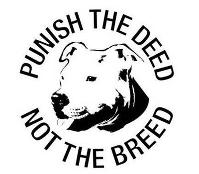 Here to promote staffies/pitbulls & help show they're  not the monsters some believe #DeedNotBreed #endbsl #teamstaffie #bullbreed #DontBullyMyBreed