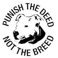 🐶🐾#DontBullyMyBreed🐾🐶(@Staffie_Lovers) 's Twitter Profile Photo