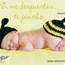 Flora sanchez bayo - @Florasanchezbay - Twitter