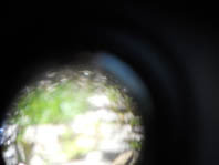 EEnseln's profile picture. Artiste pluridisciplinaire