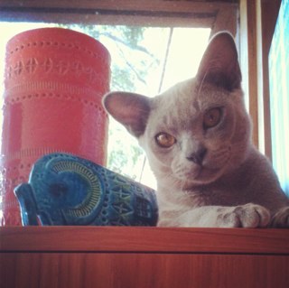 louisetroup's profile picture. 