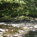 Denise Howell - @DeniseStokes8 - Twitter