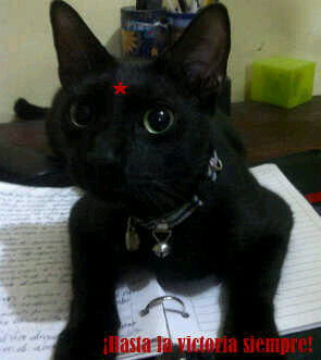 ☭ Curador de memes. have seen the shape of space.I put the “master” in Dungeon Master.