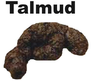 talmud101's profile picture. Torah teacher Priest. Talmud is all holy crap