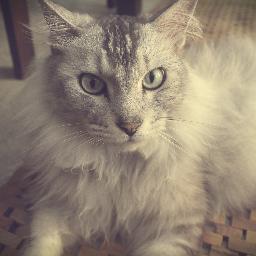 nrszna_smiran's profile picture. Don't judge people by it's cover, coz you only live ones .