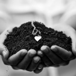 volgaccount_'s profile picture. 