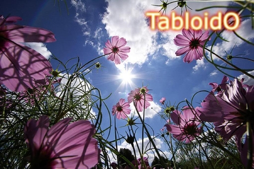 Tabloido's profile picture. Najnovije vesti, magazin, estrada