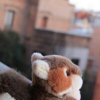 Lasti, una maruja de mocho y molotov. 🇵🇸 🐀 (@lasti_) 's Twitter Profile