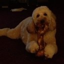 judy boyce - @patchuli33 - Twitter