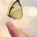 Hana Abdullah - @HanaAbdullah7 - Twitter