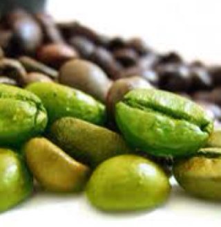 Green Coffee Beans Diet, the best way to lose weight and look your best without risking your healh