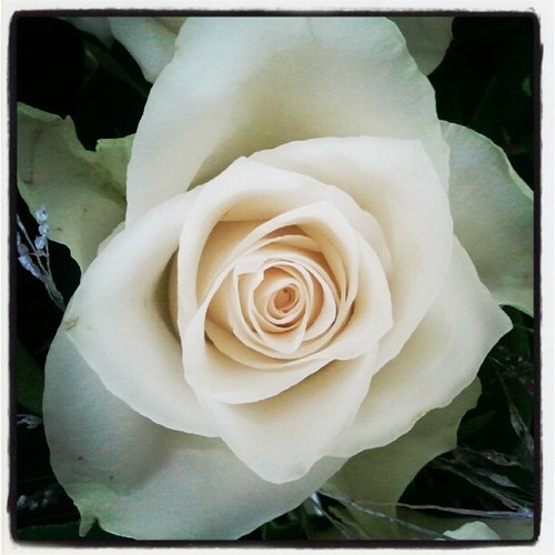 RosalieM32's profile picture. Mama van Thomas, Rick en Esmée, gastouder bij via villa  en Hobby fotograaf