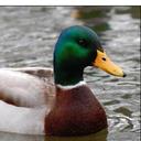 Wade Richards - @Wade_Richards90 - Twitter