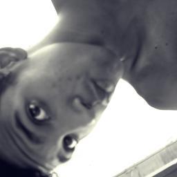 Veio me seguir ou me stalkear?
