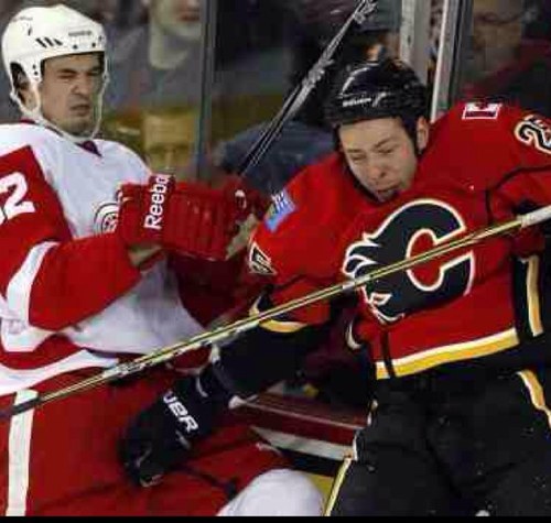 Defenseman for the Detroit Red Wings. Big ass swede. Pullin bitches and makin magic happen since 1984.