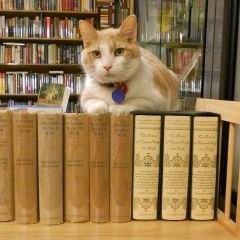 Our bookstore is the bibliophile heaven & haven.
