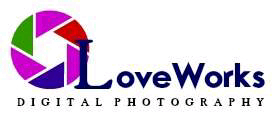 Wedding/Event Photographer