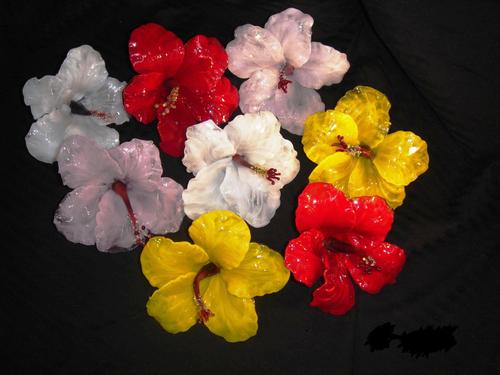 EvelynMayerson's profile picture. Glass Artist - GEM Glassworks