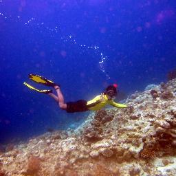 Indonesian Traveler - PADI Dive Instructor - TRABAS Adventure MotoCrosser - FreeDiver
@IdTraveler