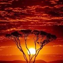 Curtis - @CurtisHarmon2 - Twitter