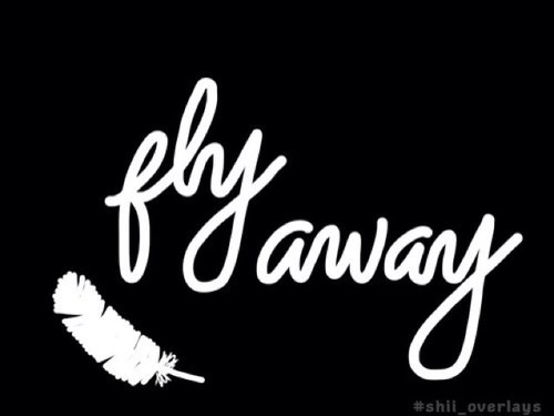 icebreakers_'s profile picture. Hi we're Alessia,Alice,Melissa and we're Ice Breakers ♫ ♬ ♩ ♭