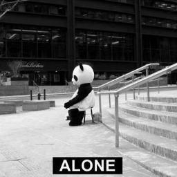 Les panda c'est mignon tout le monde aime les panda alors tout le monde vas me follow