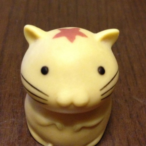 teruさんのプロフィール画像
