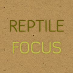 Advice and online discount codes for a variety of reptiles and reptile product retailers!  Check out my website or find me on facebook using Reptile Focus