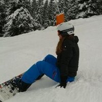 Lyon Bruin (@lyonbruin) 's Twitter Profile