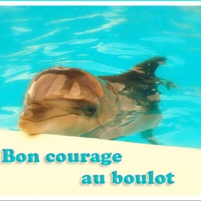 Lucie Dbs Dbslucie Twitter Lucie Dbs Dbslucie Twitter