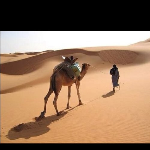 abomohamed12's profile picture. استغفر الله