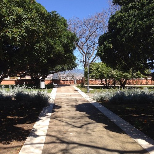 fgcos's profile picture. 