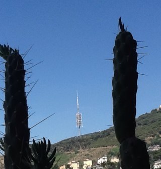 josanspi's profile picture. 