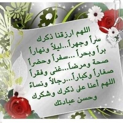 6c6a1f55617c1cde26c37a0ae6b36b97_400x400.jpeg
