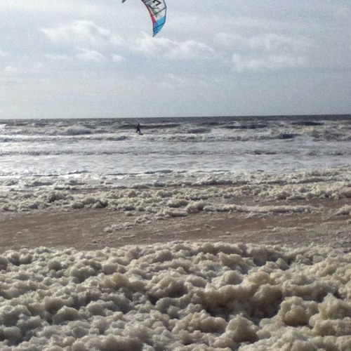 xavilovemad's profile picture. 