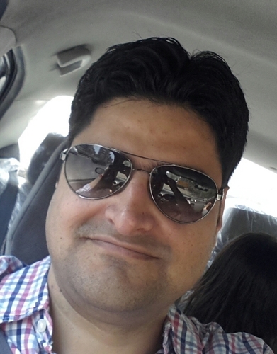Sales and Strategy Professional