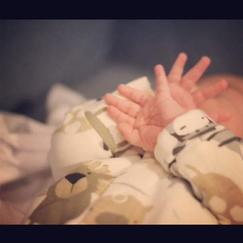 AfnanAmro's profile picture. 5th of may is my day❤, psychologist