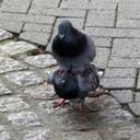 aaron benjamin - @aaronbenjamin14 - Twitter