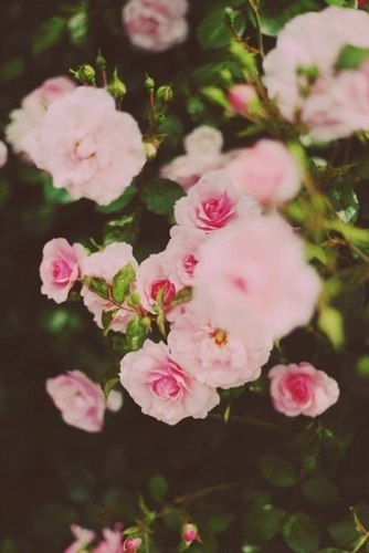 nksspb9325's profile picture. 