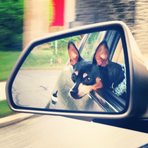 KornOnTheKobe's profile picture. Scratch and Sniff