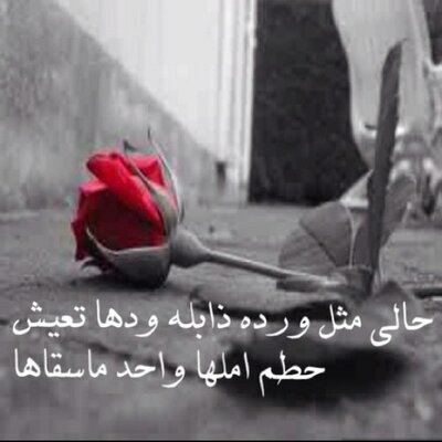 اقتباسات On Twitter ساعه استجابه لكل من يقراء اتمنى لك حياة سعيده ويوم جميل